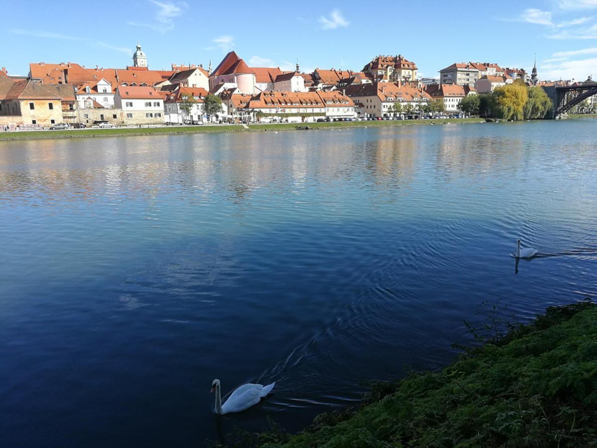 Hotel Citymap Maribor Kültér fotó